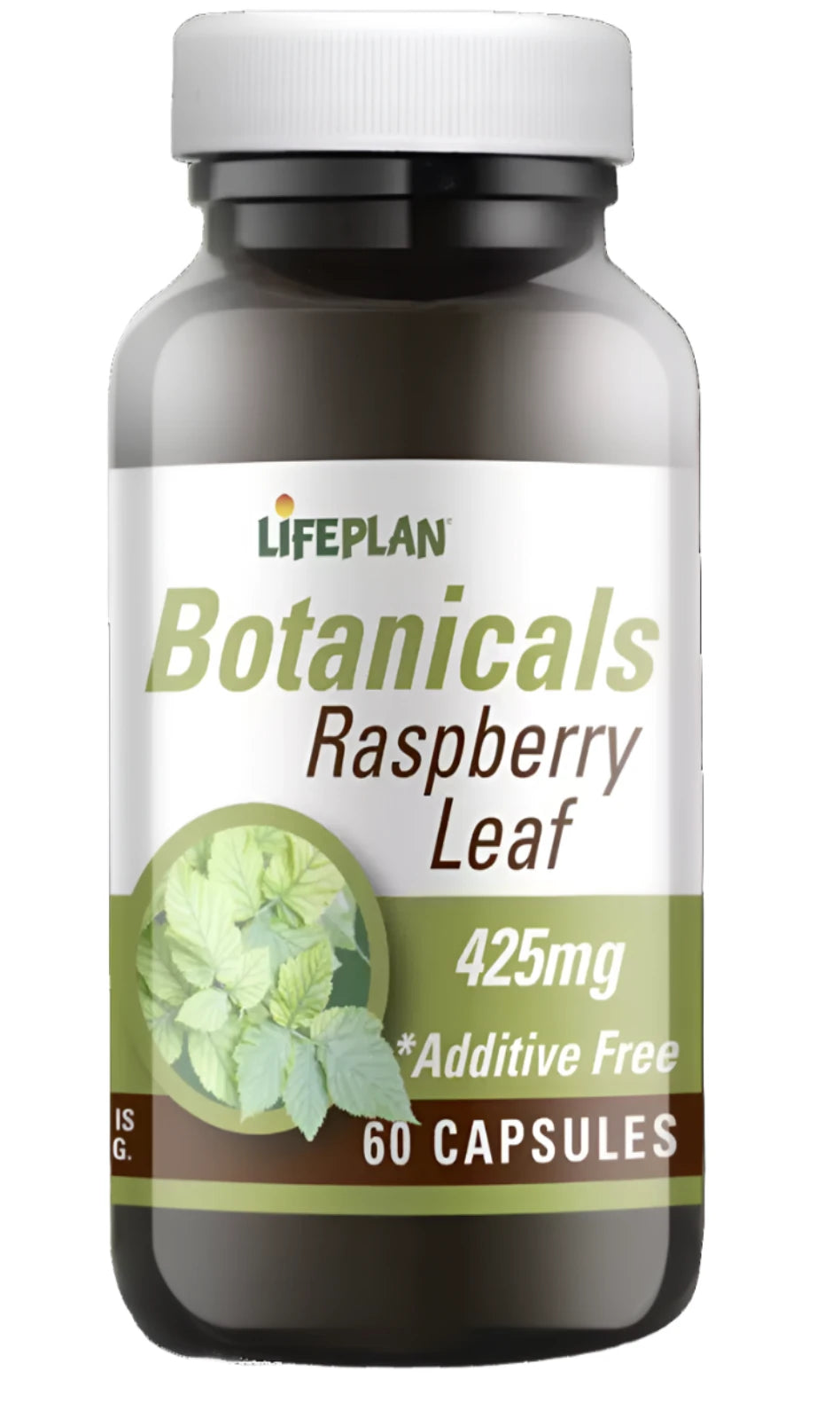 Lifeplan Raspberry Leaf 425mg 60 Capsules (BBE 04/25)