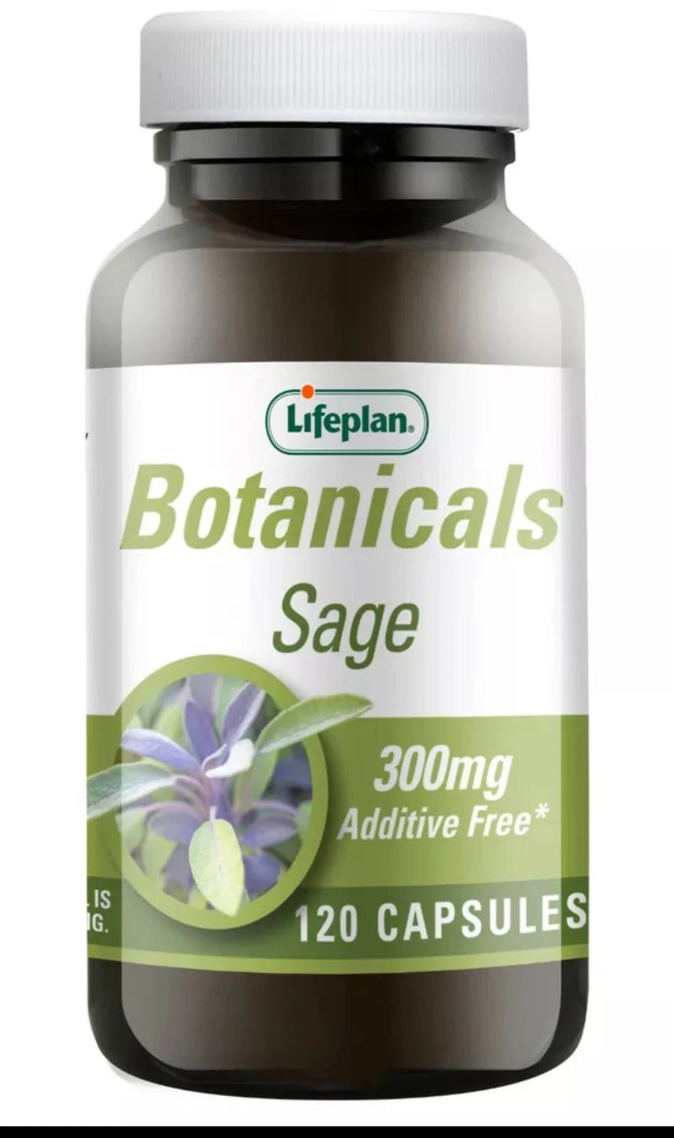 Lifeplan Sage 300mg x 120 Capsules